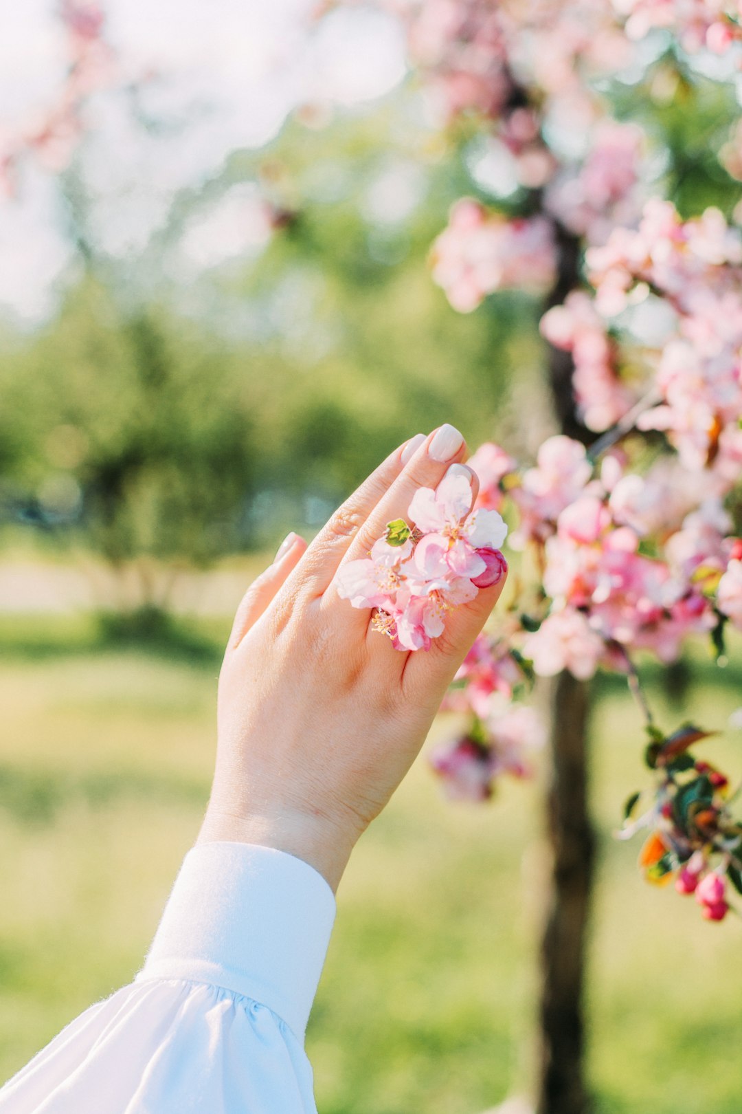 Hand with soft pink nails holding a sprig of pink blossom