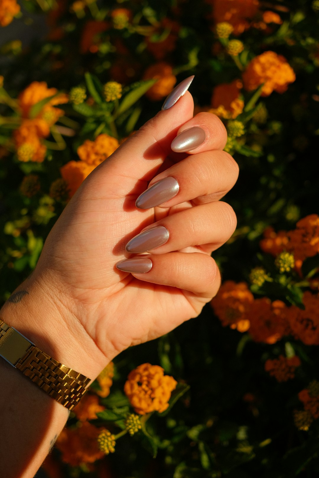 Hand with long almond nails in a metallic taupe against orange flowers