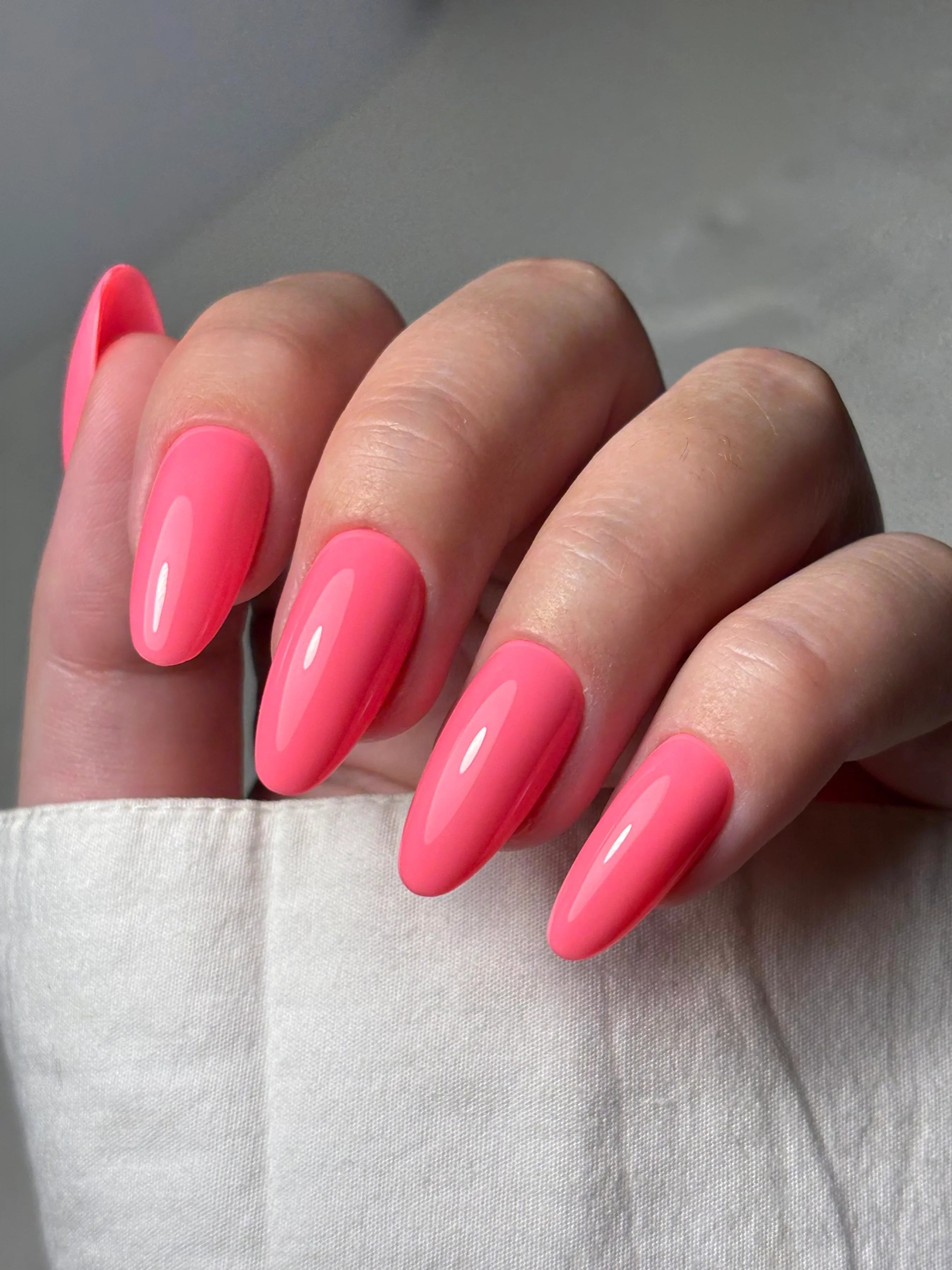 019 hibiscus - Elegelli