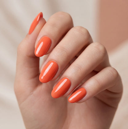 031 corail