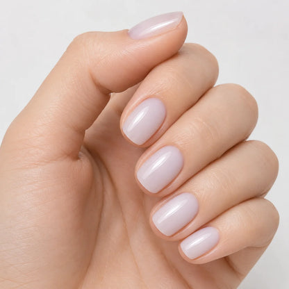 B004 Rose des Vents