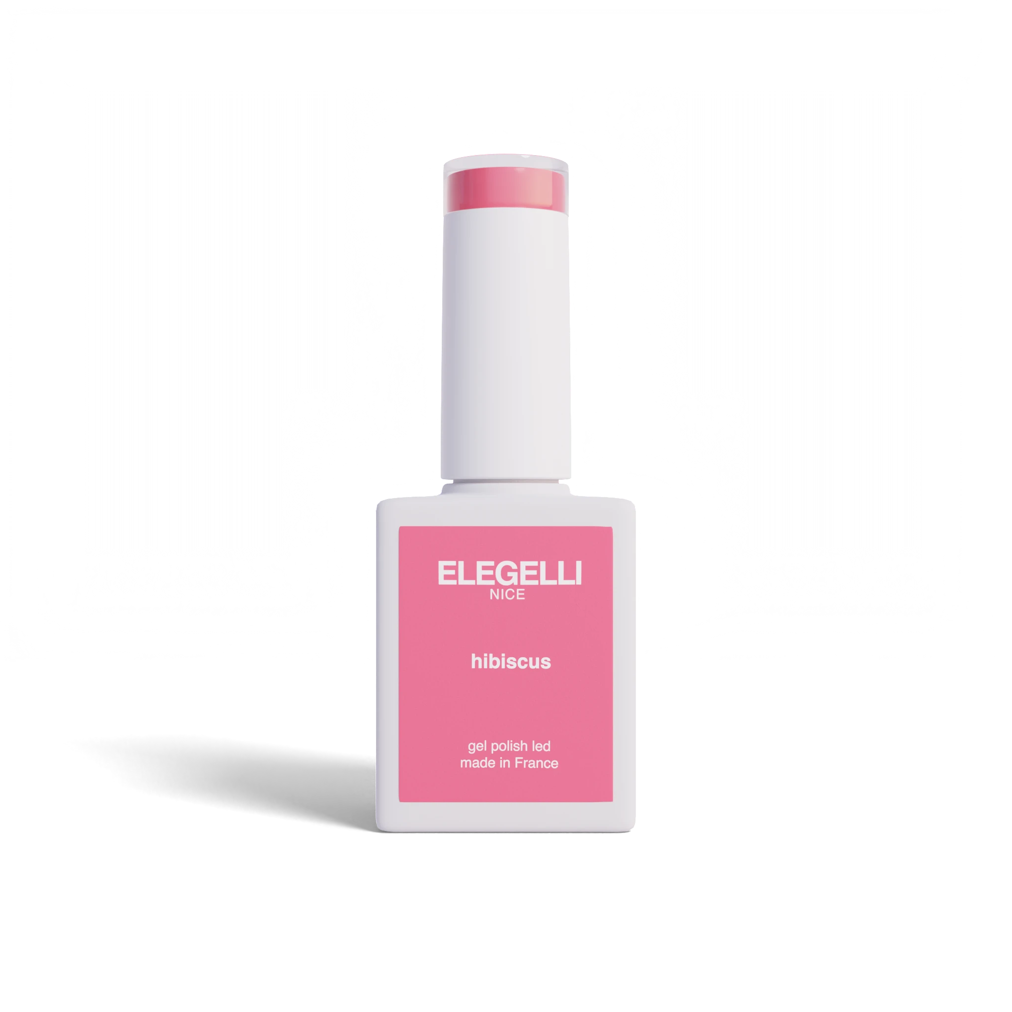019 hibiscus